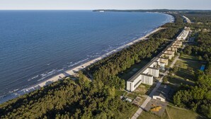 Vista aerea di una zona costiera con spiaggia, fitta foresta e una fila di edifici lungo la riva.