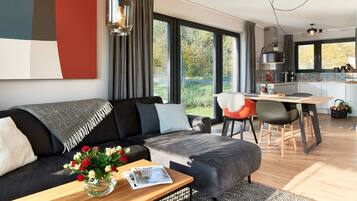 Fernseher, Kamin