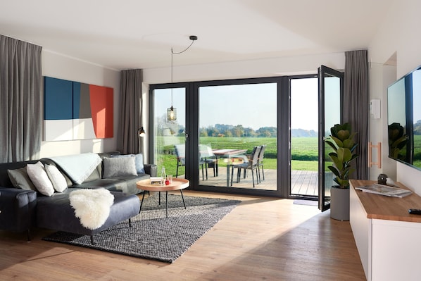 Televisión y chimenea 