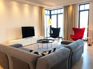 Télévision, cheminée, lecteur de DVD, livres