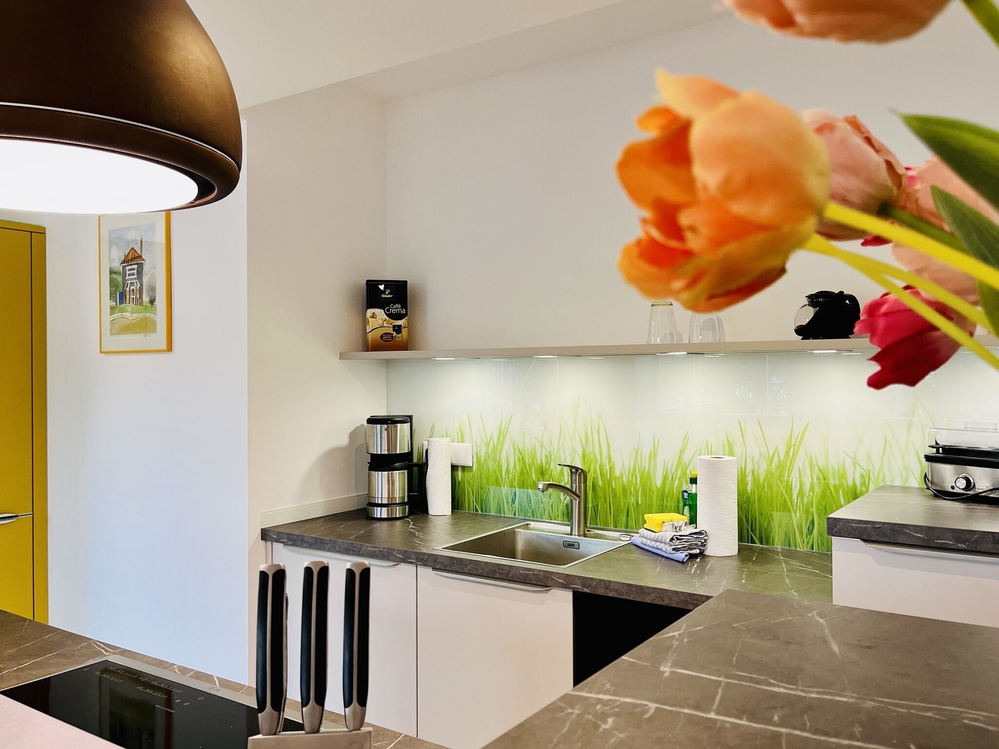 A modern kitchen with a sink, a coffee maker, and a decorative grass wall.