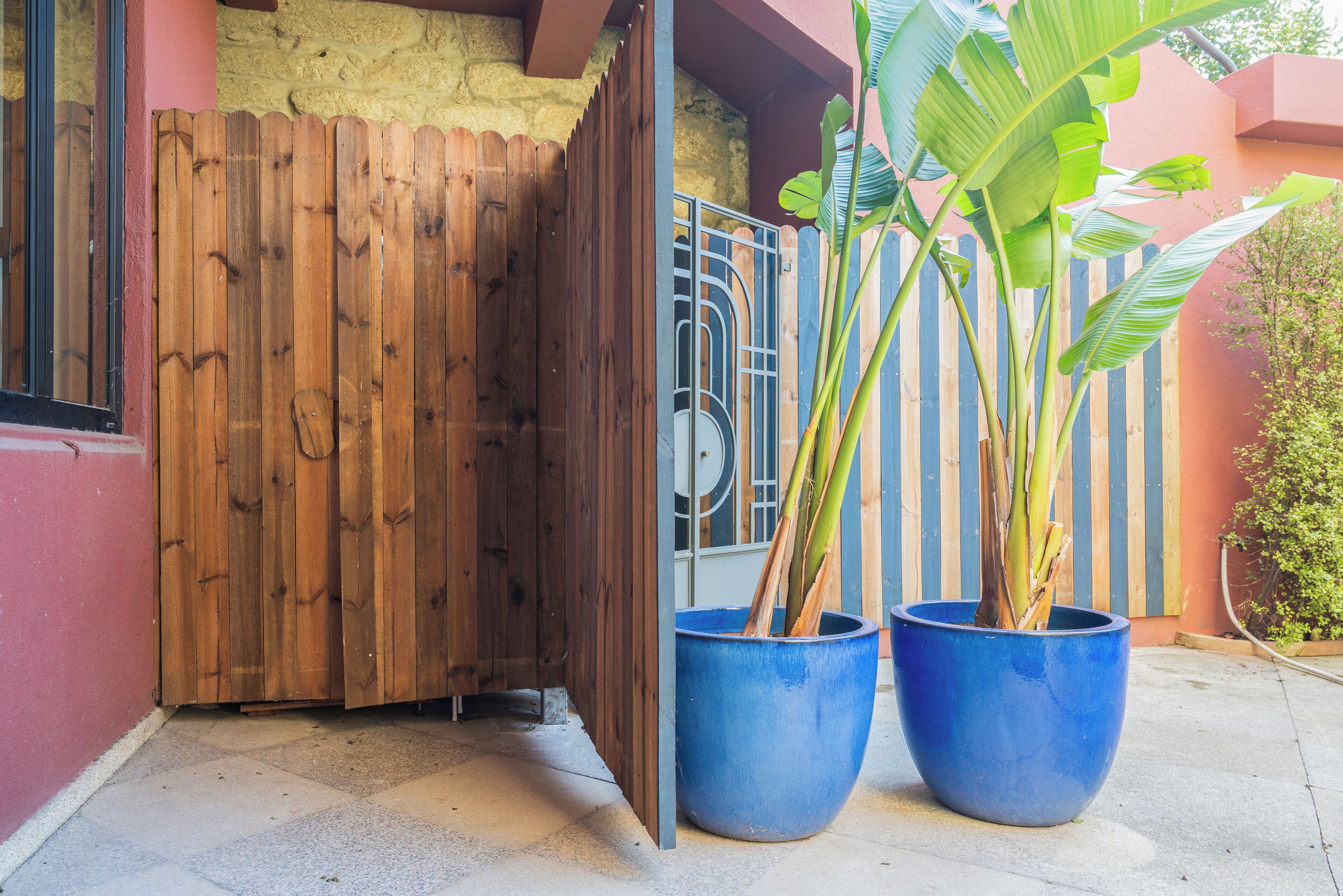 Una cancelada de madera, una planta azul en maceta y una reja de metal.