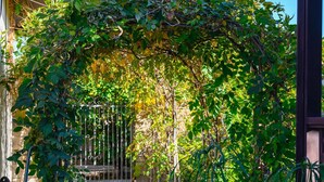 Un sendero atraviesa un jardín con una reja metálica y una bicicleta apoyada en una planta.