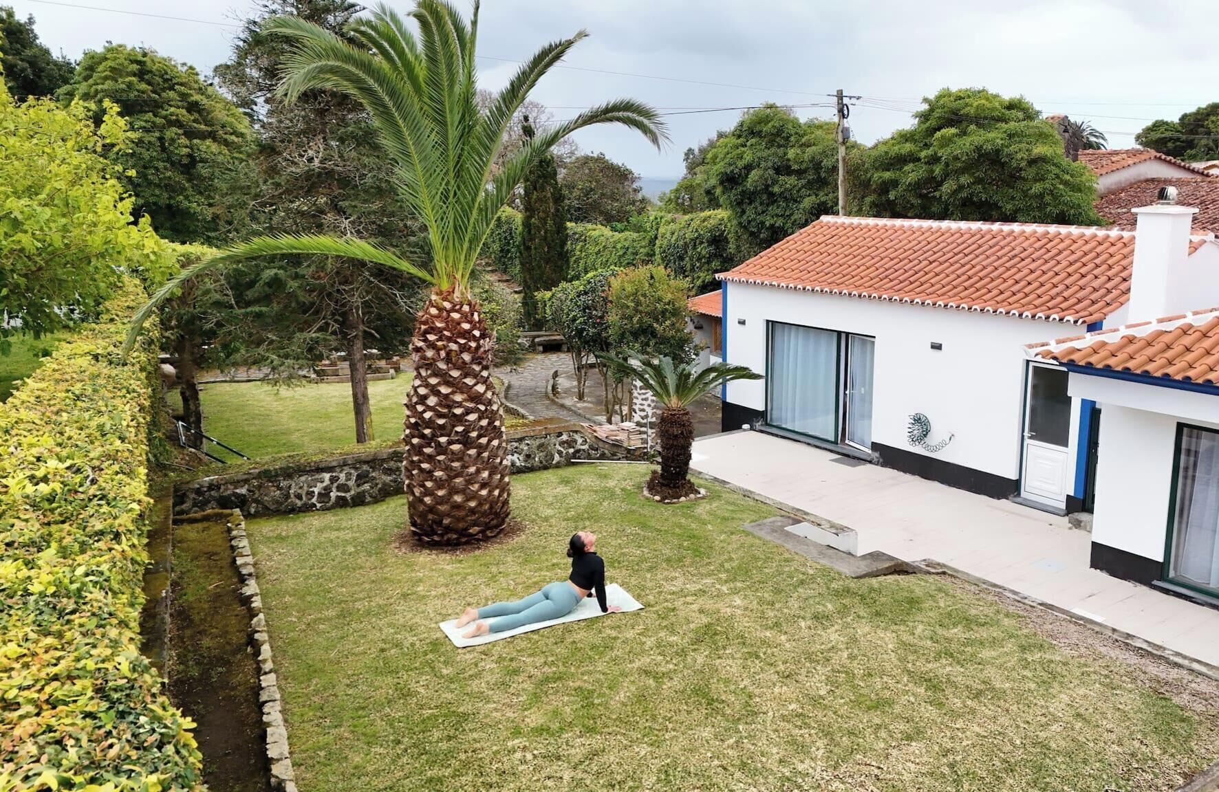 A residential property with a well-maintained lawn, a large palm tree, and a modern house with a tiled roof.