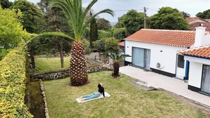 A residential property with a well-maintained lawn, a large palm tree, and a modern house with a tiled roof. - Estúdio Quinta São José by PontaNegraAzores (Angra do Heroísmo)