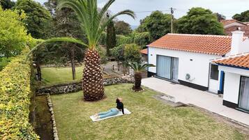 A residential property with a well-maintained lawn, a large palm tree, and a modern house with a tiled roof.