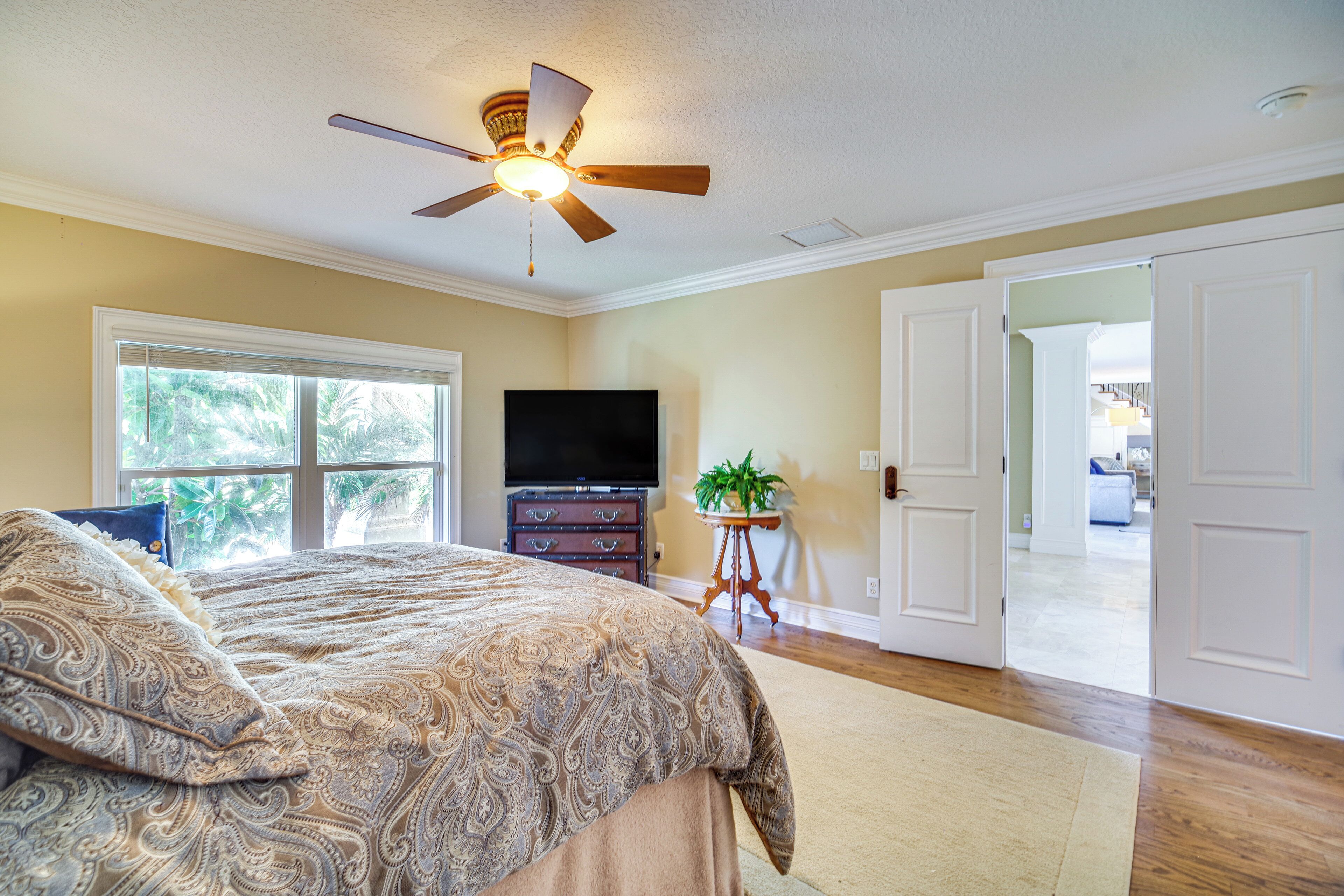 A bedroom with a bed, a ceiling fan, a TV, a dresser, and a plant.