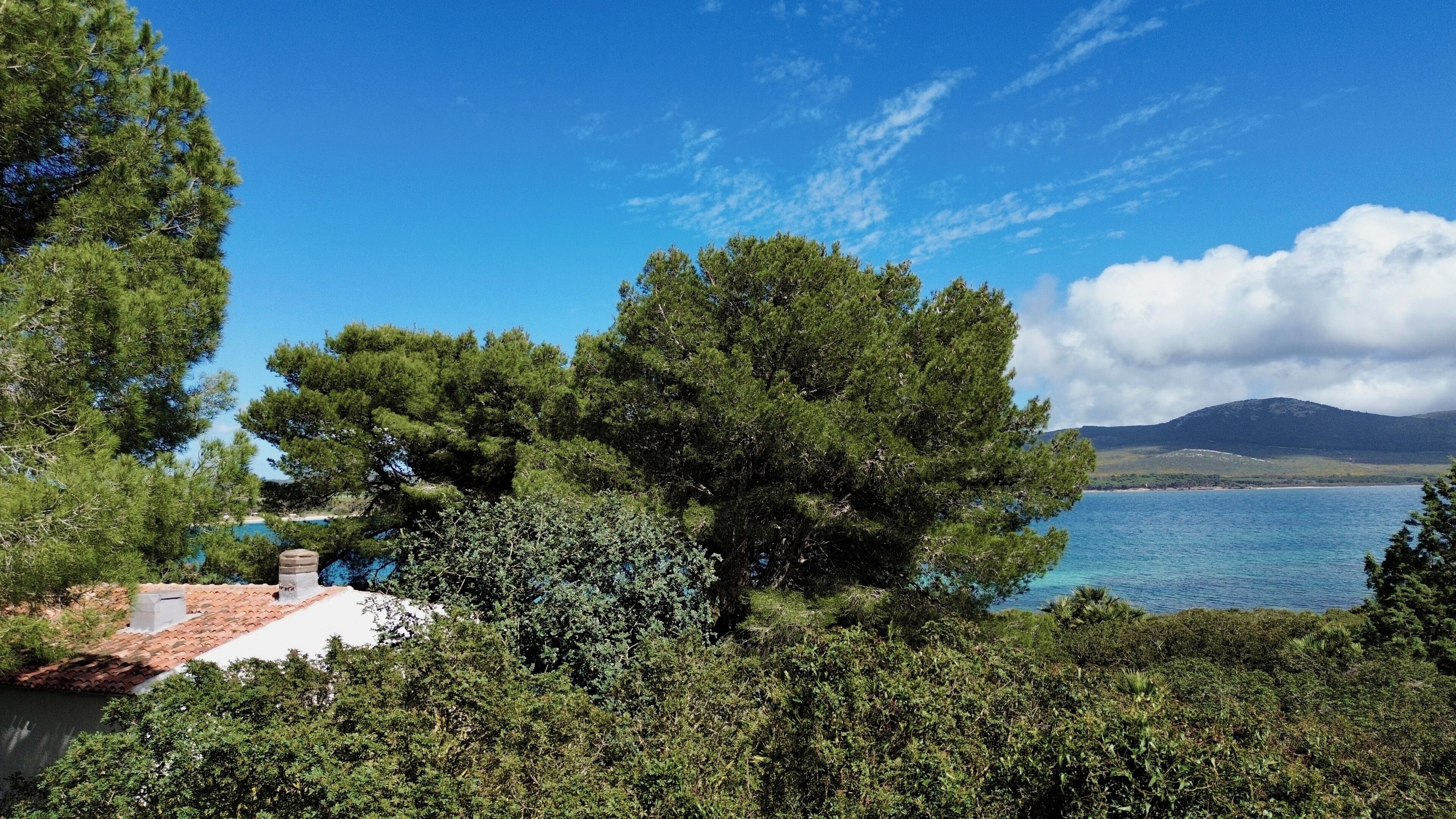 A coastal landscape with dense greenery, a clear blue sky, and a distant mountain range.