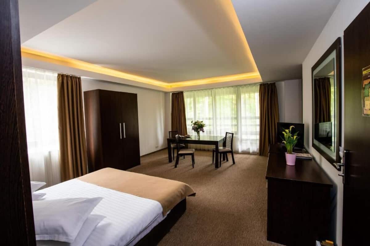 A hotel room with a bed, a desk, a chair, a television, and a plant.