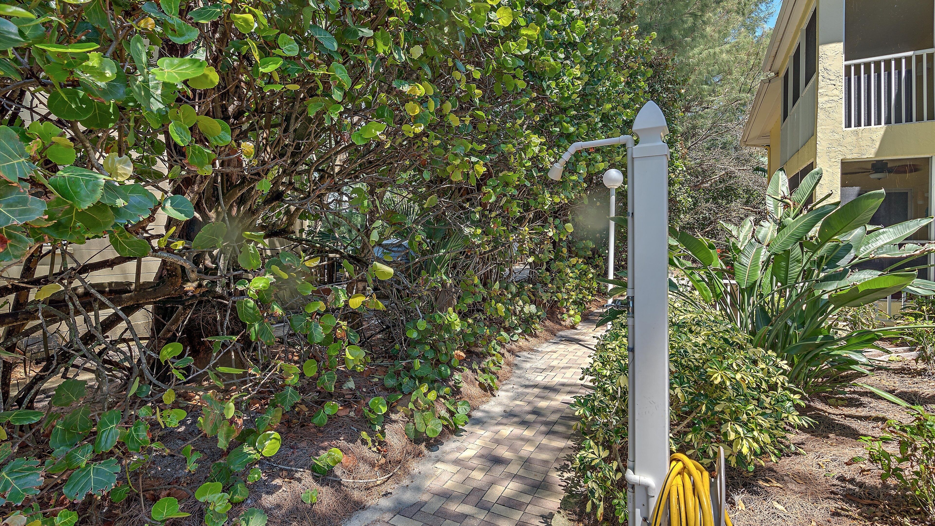 A pathway flanked by dense foliage and a building with barred windows.