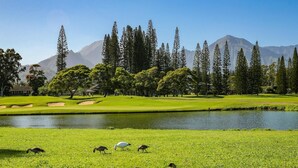 A golf course with a pond, trees, and mountains in the background. - Kauai Plantation At Princeville 1121 3 Bedroom Condo (Princeville)