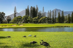 Apartment, 3 Schlafzimmer | Golf