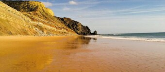 Beach Park Apartments - Superior Apartment