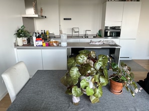 Appartement, vue fleuve | Cuisine privée