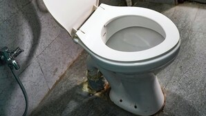 Un bagno con il water, un lavandino e una doccia.