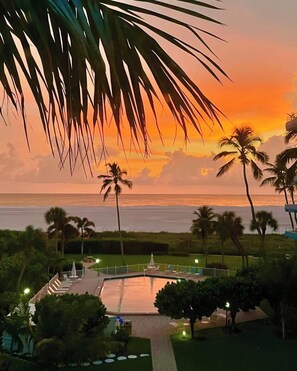 Property grounds - Beachfront Renovated Efficiency I Ultimate Beach Getaway! (Marco Island)