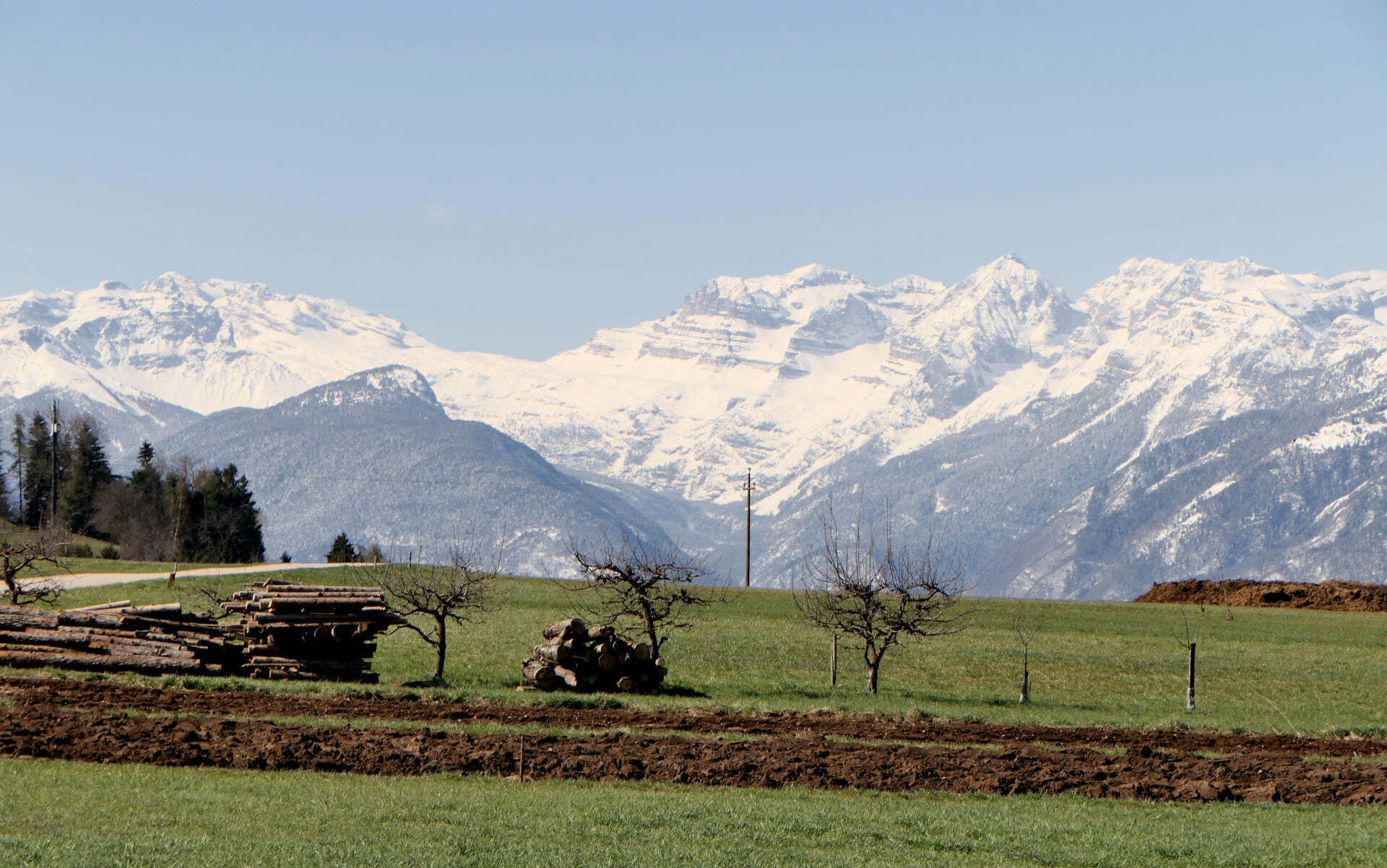 Un paysage rural avec des montagnes enneigées en arrière-plan, un chemin de terre et un champ parsemé d’arbres.