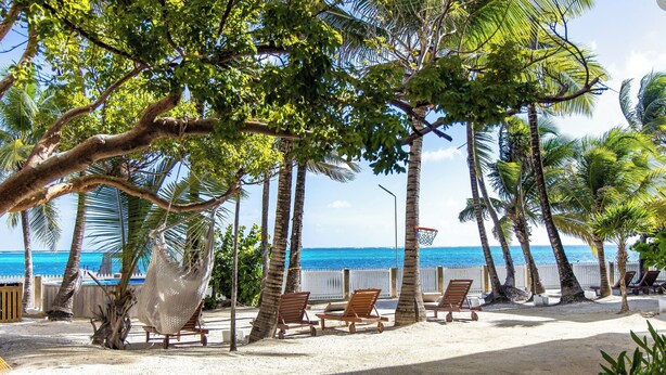 A beach area with palm trees, a hammock, and wooden lounge chairs. - Babylon Beach Villa 8    (San Pedro)