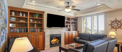Smart TV, fireplace, books