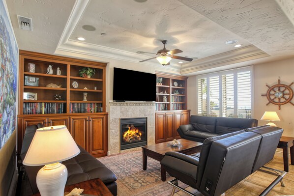Smart TV, fireplace, books