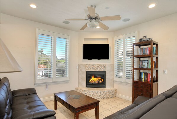 Smart TV, fireplace, books