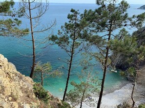 Un paysage côtier avec des pins et une rive rocheuse.