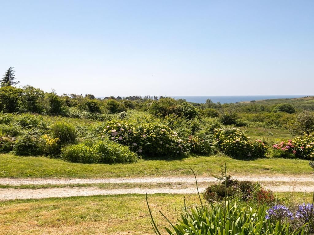 A rural landscape with a dirt path leading through a field of greenery and wildflowers, with a clear view of the horizon.