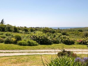 Paisaje rural con un sendero de tierra que atraviesa un campo verde con flores silvestres, y una vista despejada del horizonte.