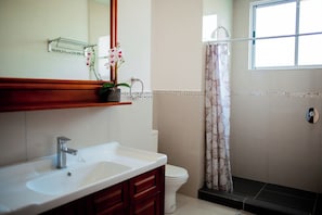 Soap, toilet paper - Modern Style Prime Location near Tamarindo (Tamarindo)