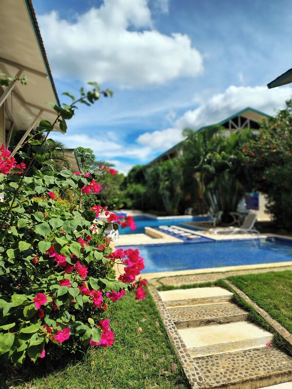 Outdoor pool - Modern Style Prime Location near Tamarindo (Tamarindo)