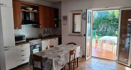 Ale's House