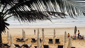 A beach with rows of sun loungers and umbrellas, a palm tree, and a few people in the background.