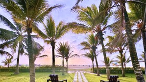 A pathway lined with palm trees leading to a beach.