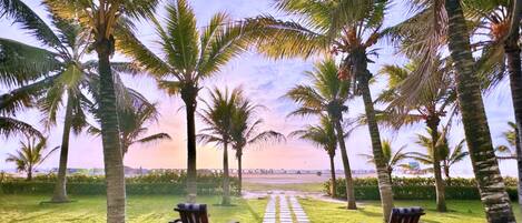 Overnatningsstedets område