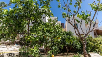 Apartamento | 2 quartos, escrivaninha