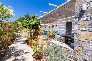 Estudio | 7 habitaciones