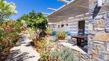 Estudio | 7 habitaciones