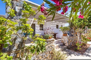 Estudio | 7 habitaciones