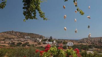 Estúdio | 7 quartos