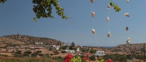 스튜디오 | 7 개의 침실