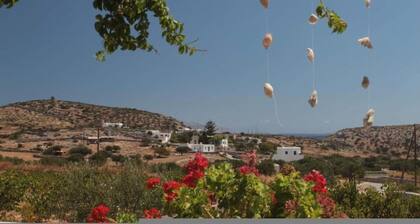 Harama Hotel Schinousa