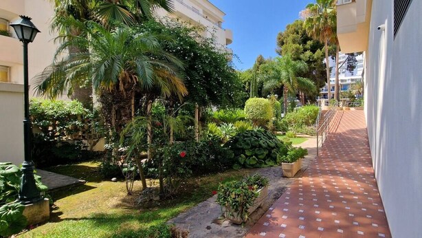 A narrow pathway flanked by lush greenery and a white building. - weforyou Solymar 2 bedrooms (Benalmádena)