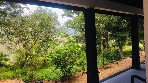 Ein überdachter Außenbereich mit Blick auf einen Garten und Bäume.
