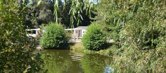 Chalet 3 étoiles - Piscine  - ccafdia