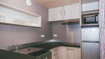 Réfrigérateur, micro-ondes, plaque de cuisson, lave-vaisselle