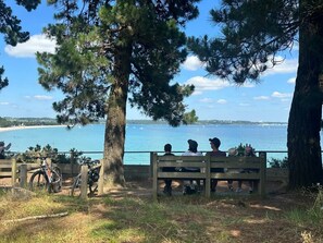 Overnatningsstedets område