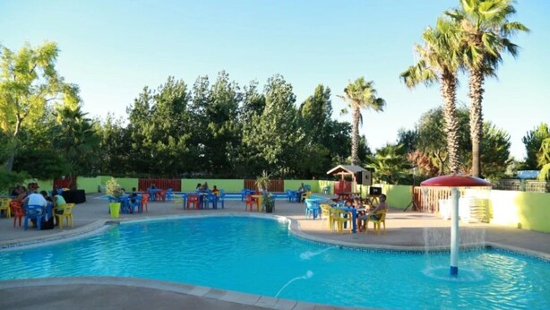 Piscina con sillones de descanso y mesas, rodeada de palmeras y follaje.