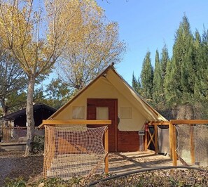 Botó d’imatge sense classificar, 3 de 16