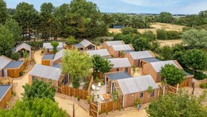 A cluster of wooden cabins with sloped roofs, surrounded by trees and a dirt path.