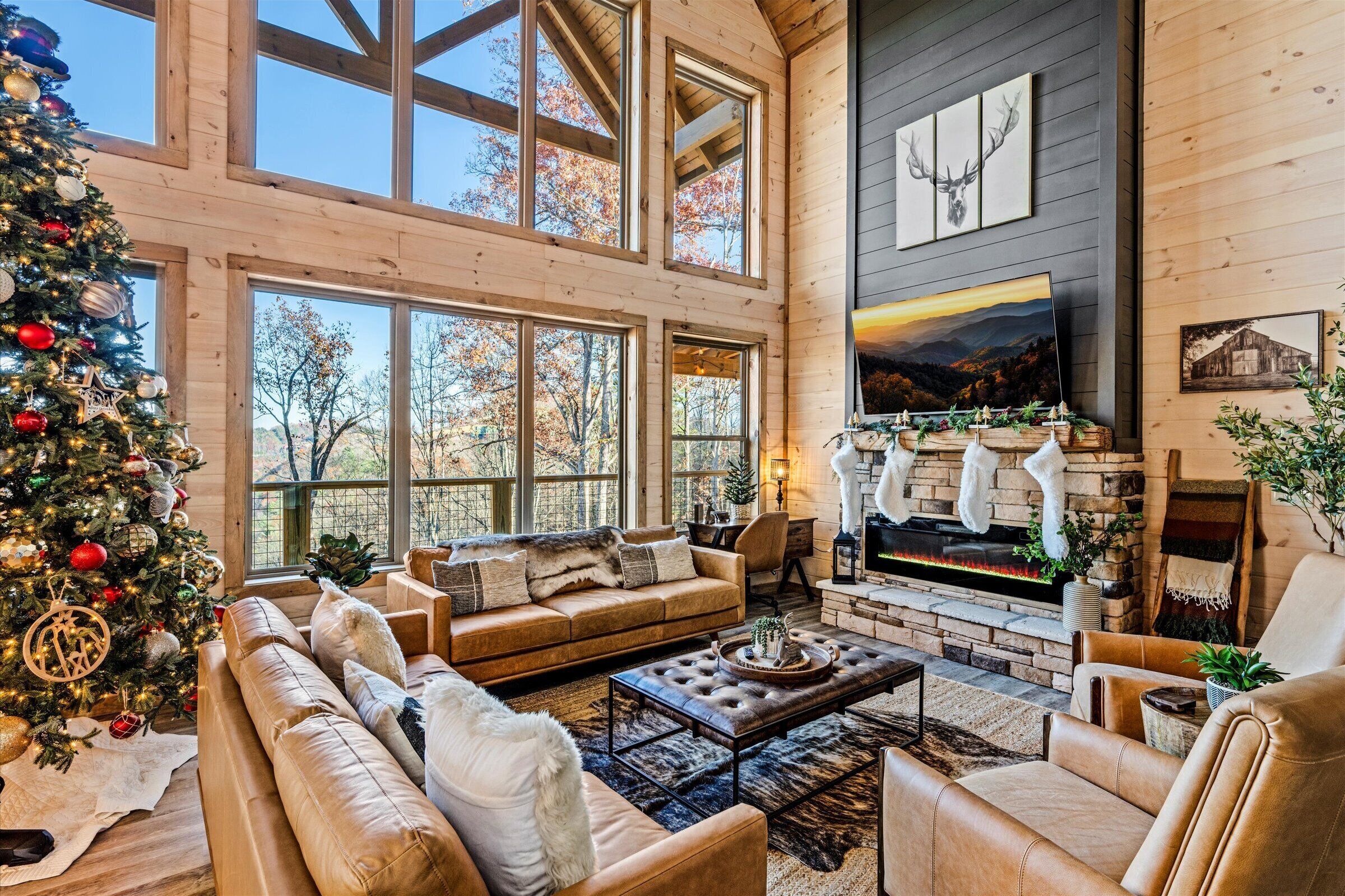 智能电视、壁炉